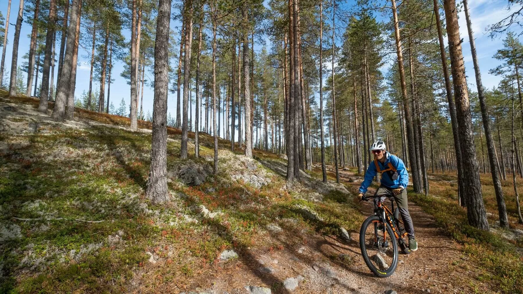 Fjället i Sälen på sommaren